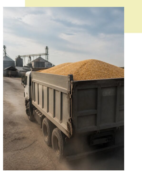 Перевозка сельхозпродукции навалом в Тихорецк по цене от 3092 р. | Агросервис-Тхр