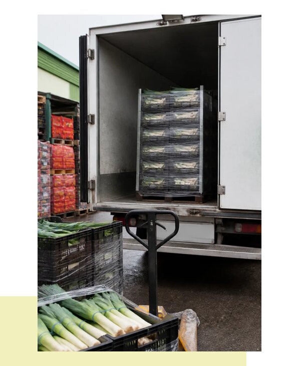 Перевозка лука порея в Тихорецк с соблюдением температурного режима
